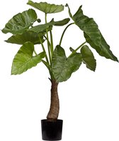 Kunstplant Alocasia 80 cm