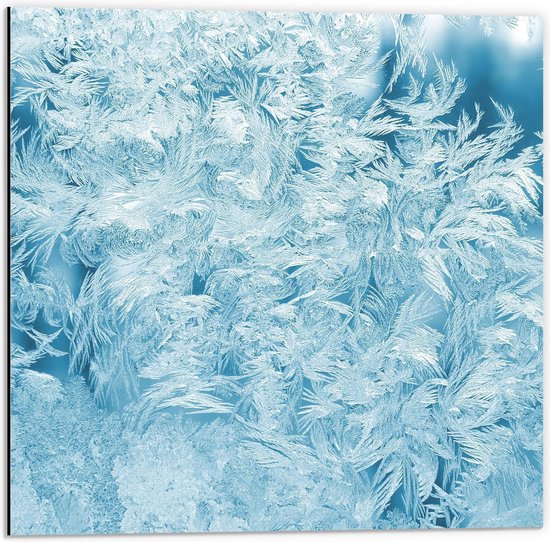 Dibond - Abstracte Witte Veren met Blauwe Achtergrond - 50x50cm Foto op Aluminium (Wanddecoratie van metaal)