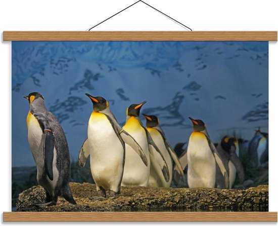 Schoolplaat – Pinguïns  - 60x40cm Foto op Textielposter (Wanddecoratie op Schoolplaat)