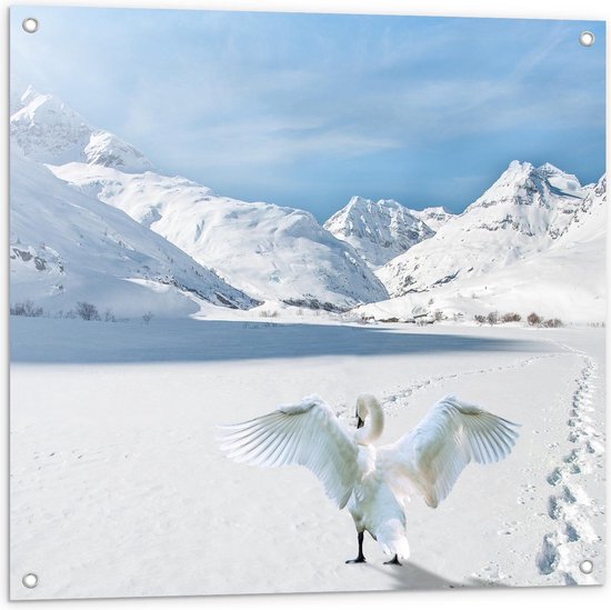 Tuinposter – Witte Zwaan bij Besneeuwde Bergen - 80x80cm Foto op Tuinposter  (wanddecoratie voor buiten en binnen)