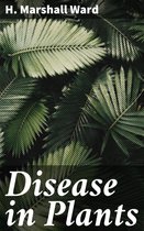Disease in Plants