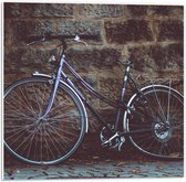 Forex - Versleten Fiets - 50x50cm Foto op Forex