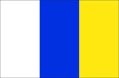 Vlag gemeente Doetinchem 100x150 cm