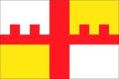 Vlag gemeente Grootegast 70x100 cm