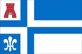 Vlag gemeente Noordoostpolder 100x150 cm
