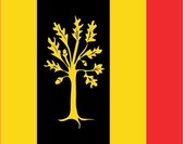 Vlag gemeente Waalwijk 100x150 cm