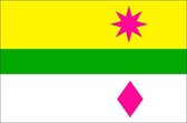 Vlag gemeente Lansingerland 150x225 cm