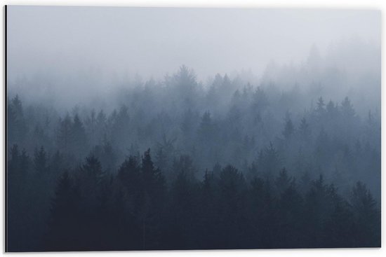 Dibond - Mist in de Bossen - 60x40cm Foto op Aluminium (Met Ophangsysteem)