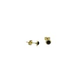Aramat jewels ® - Ronde zweerknopjes kristal zwart chirurgisch staal goudkleurig 6mm unisex
