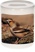 Dieren appelvink vogel foto spaarpot 9 cm jongens en meisjes - Cadeau spaarpotten appelvink vogel vogels liefhebber