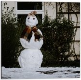 Dibond - Sneeuwpop met Sjaal en Muts - 50x50cm Foto op Aluminium (Wanddecoratie van metaal)