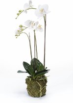 Orchidee wit kunstplant