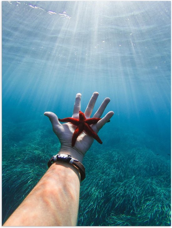Poster - Rode Zeester op Hand van Persoon in de Zee - Foto op Posterpapier