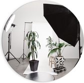 Dibond Wandcirkel - Studiolampen met Plantenpot - 90x90cm Foto op Aluminium Wandcirkel (met ophangsysteem)