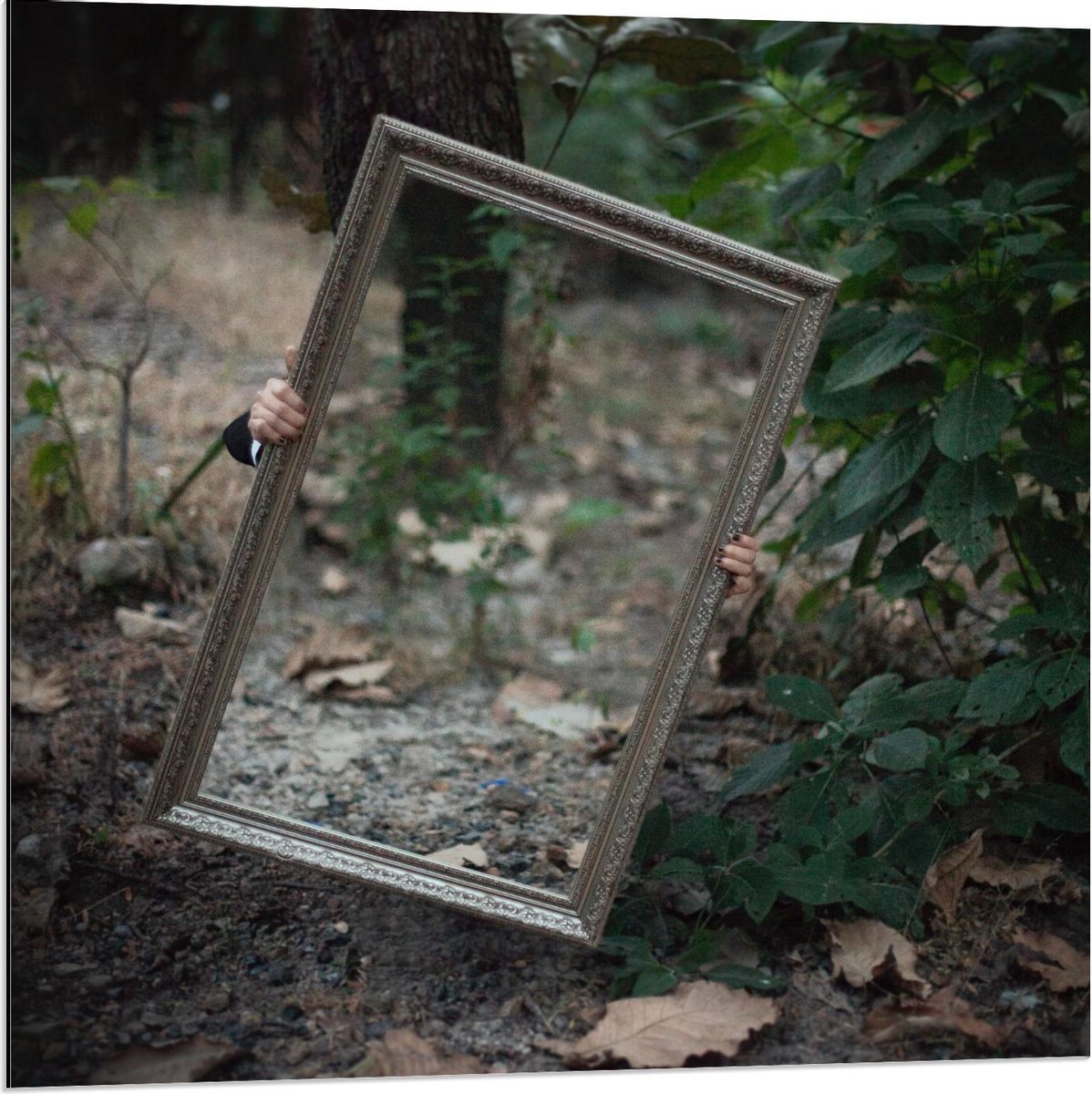 Dibond - Spiegel in Bos - 80x80cm Foto op Aluminium (Wanddecoratie van metaal)
