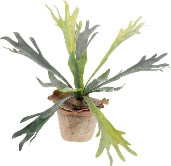 Kunstplant Staghorn varen 35 cm in pot