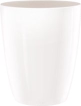 Brussels diamond orch hoog 10,5cm wit