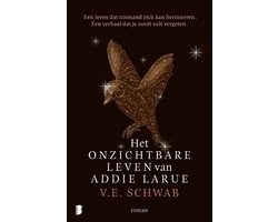 Omslag van Het onzichtbare leven van Addie LaRue