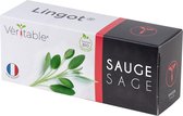 Véritable® Lingot® Organic Sage - BIO SALIE navulling voor alle Véritable® binnenmoestuin-toestellen