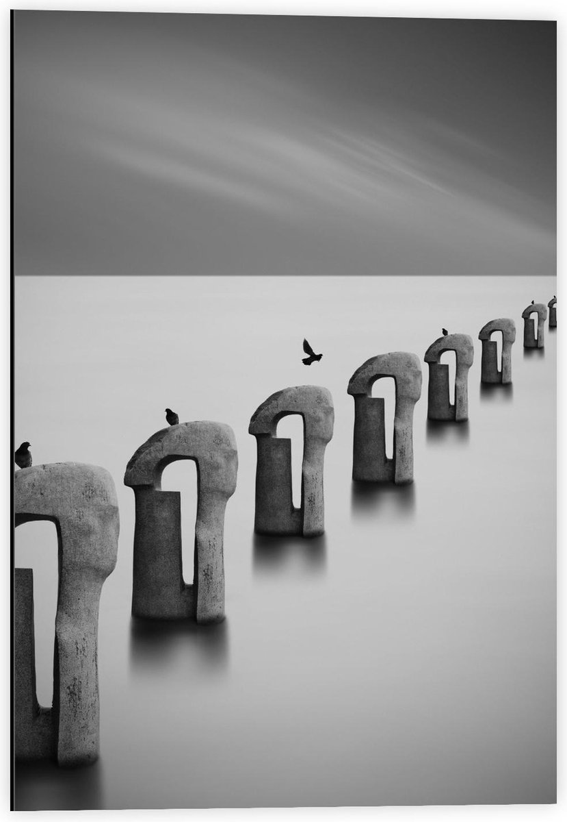 Dibond - Vogels op Betonnen Palen ( Zwart Wit ) - 40x60cm Foto op Aluminium (Wanddecoratie