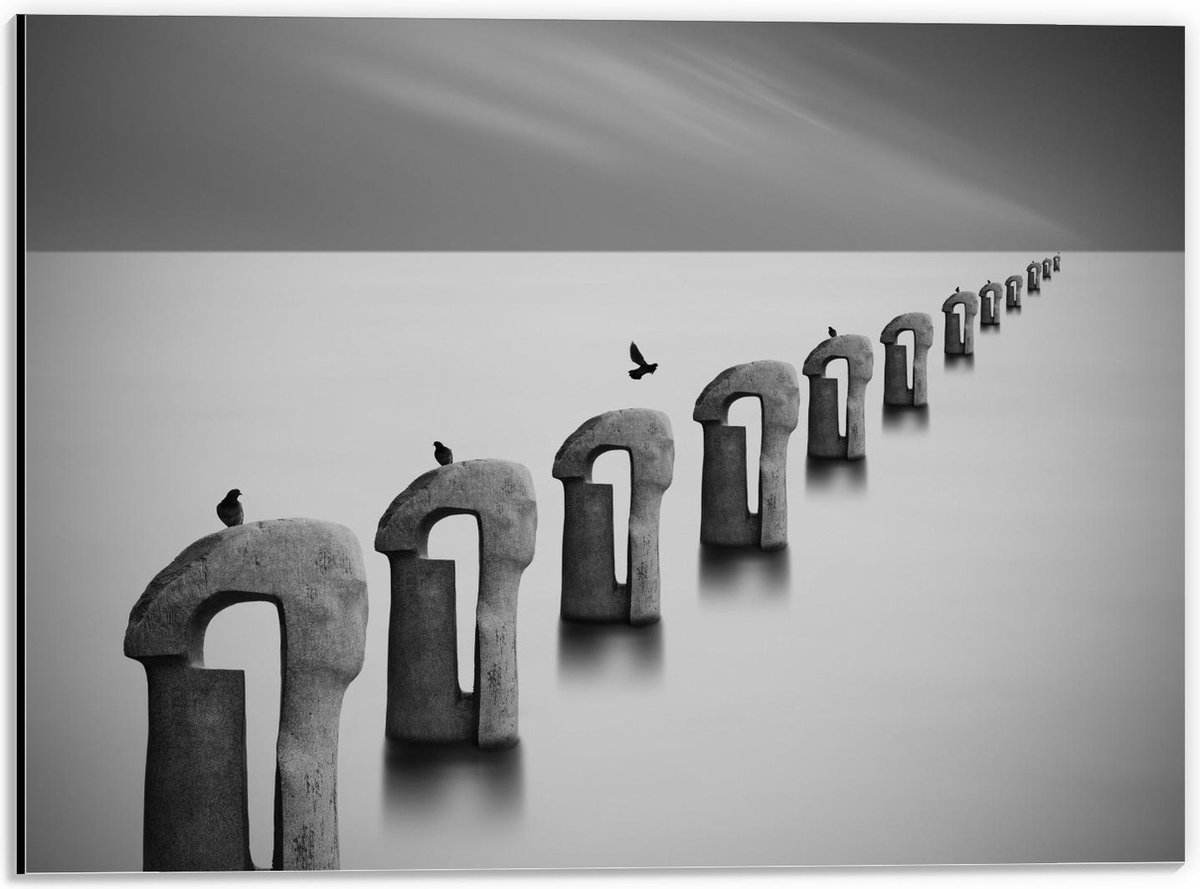 Dibond - Vogels op Betonnen Palen ( Zwart Wit ) - 40x30cm Foto op Aluminium (Wanddecoratie
