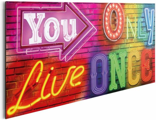Je leeft maar 1 keer - Schilderij 90 x 30 cm | bol.com