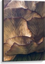 Canvas  - Abstracte Bladeren - 60x90cm Foto op Canvas Schilderij (Wanddecoratie op Canvas)