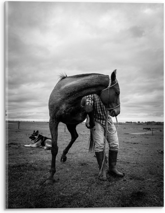 Acrylglas - Boer met Paard (zwart/wit) - 30x40cm Foto op Acrylglas (Wanddecoratie op Acrylglas)