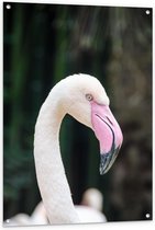 Tuinposter – Kop Roze Flamingo - 80x120cm Foto op Tuinposter  (wanddecoratie voor buiten en binnen)