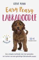 Easy Peasy Labradoodle