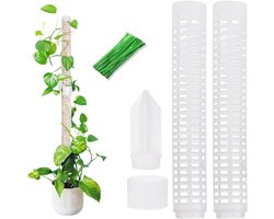 Klimhulp voor Planten - Natuurlijke Mospaal met 20 Plantenbanden, Steun voor Monstera en Klimplanten (28,5 cm)