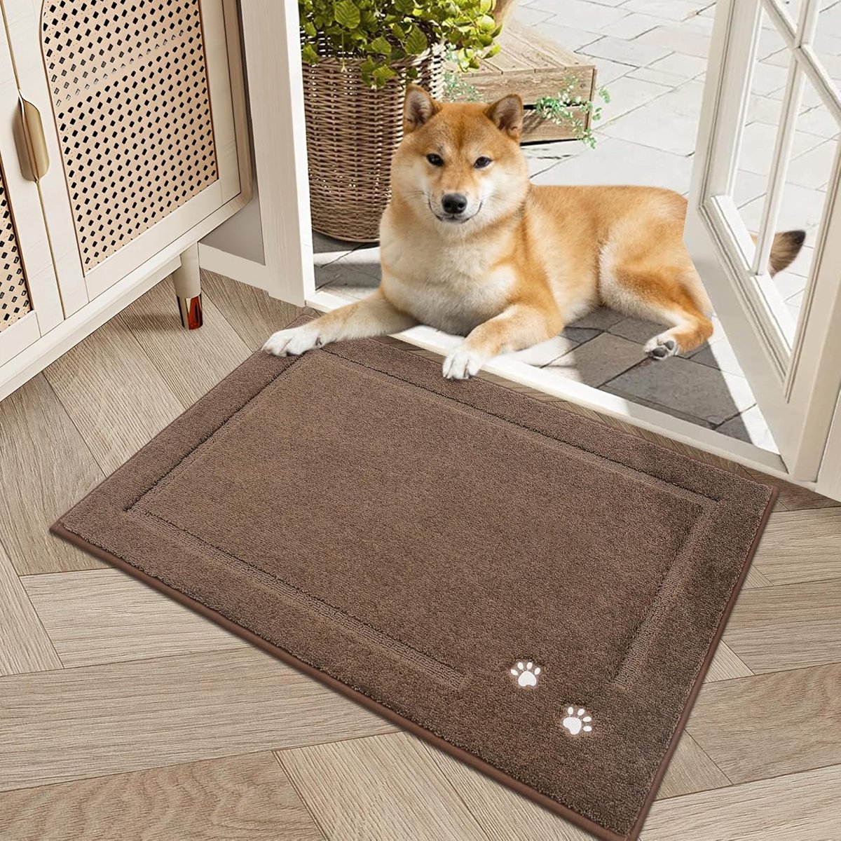 Absorberende Deurmat Binnen 50x80 cm - Antislip Vuilvangmat voor Entree, Hal en Voordeur