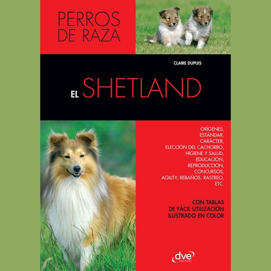 El Shetland - cover