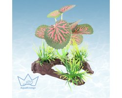 AquaKonings - Aquarium decoratie - Aquarium kunst planten - Nepplanten - Kunstplant - Plant op stronk - Rood- 13x10x10