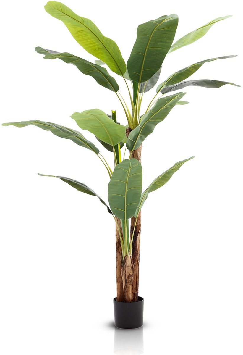 Meisterhome Strelitzia Kunstplant 180 cm – Luxe Paradijsvogelplant – Grote Tropische Kunstplant – Realistisch & Onderhoudsvrij - Woonkamer & Kantoor