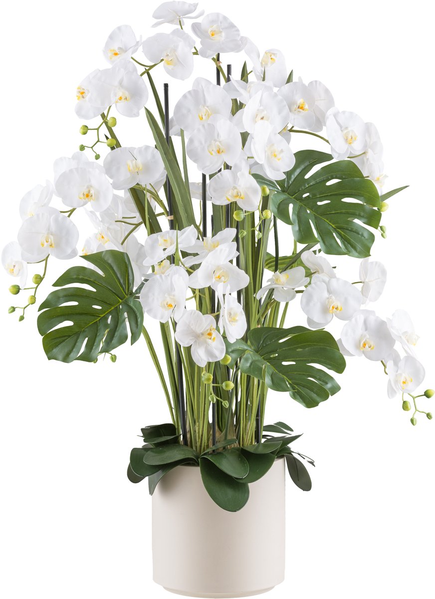 Kopu Phalaenopsis Xl Kunstorchidee 120 cm - Real Touch - Wit