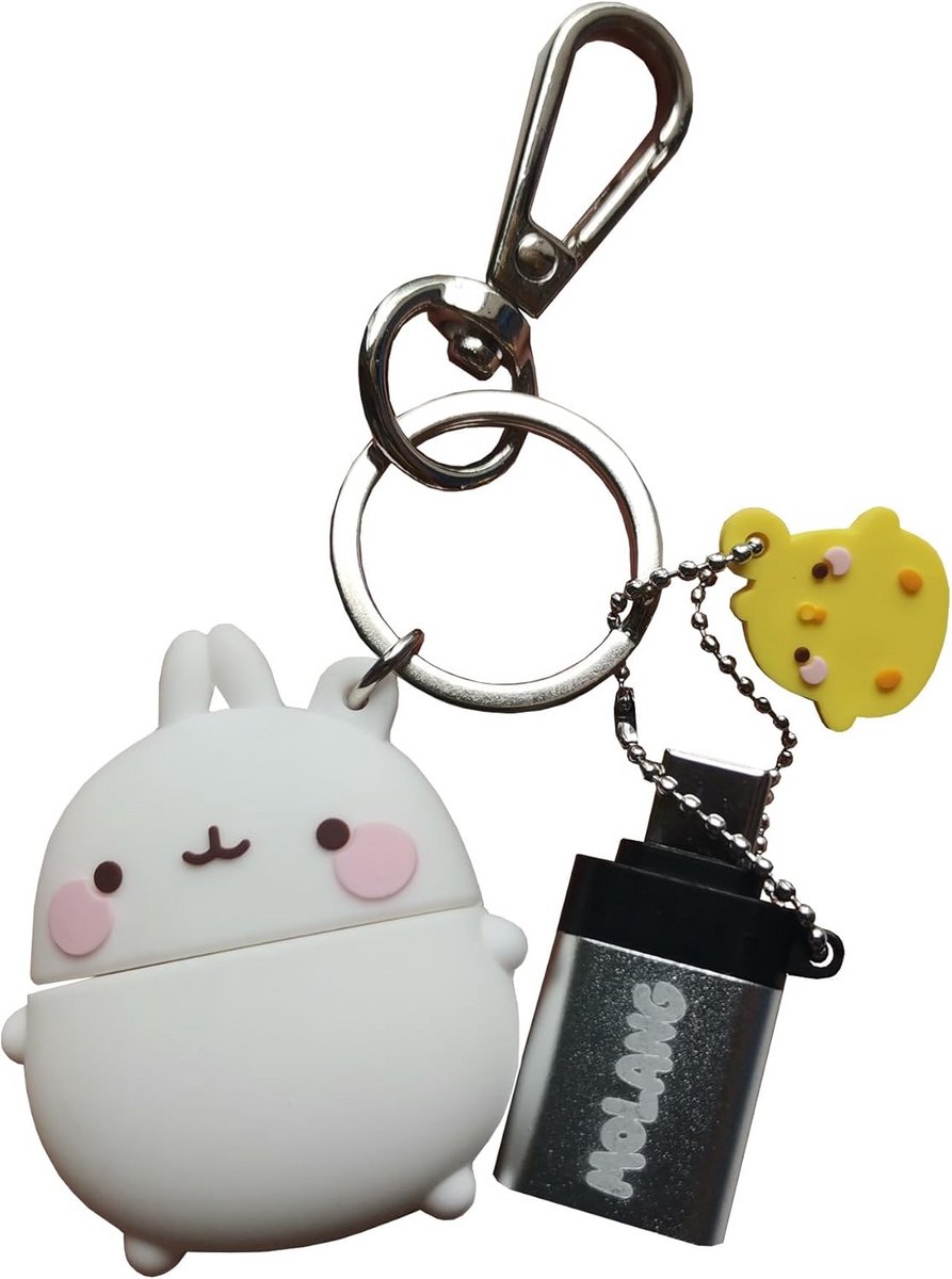 Schattige 2-in-1 USB-stick 32GB met Molang figuur en USB-C adapter - Cadeau