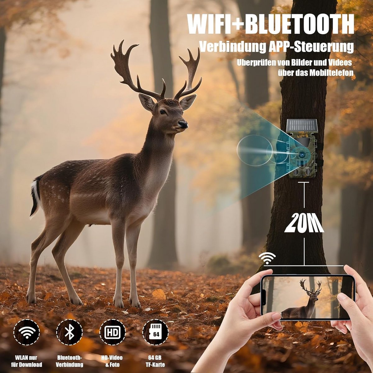 Wildcamera Huisdier Camera Bewegingssensor Nachtzicht