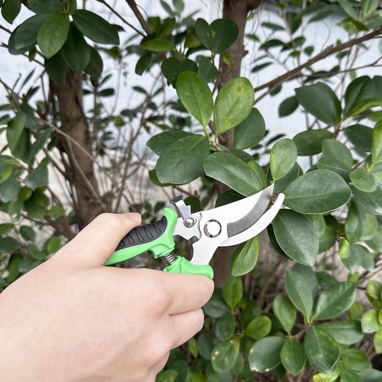 Driedelige tuinscharenset - professionele snoeischaar - takkenschaar - tuinschaar - bloemenschaar - geschikt voor planten, bloemen, takken, rozen, bonsai, groenten en fruit - Type C van Merkloos	 — afbeelding 2