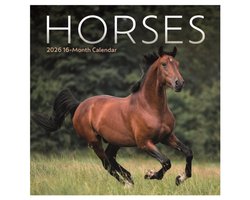 Paarden Kalender 2026 Mini