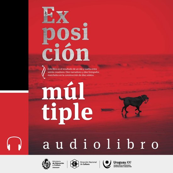 Exposición múltiple - cover