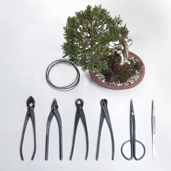 Bonsai Gereedschapsset - 3-delige set met Concave Snijder en Knopsnijder voor Tuinieren en Snoeien van Merkloos	 — afbeelding 2
