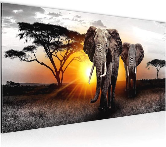 Moderne Wanddecoratie met Olifant en Panorama in Grijs en Oranje