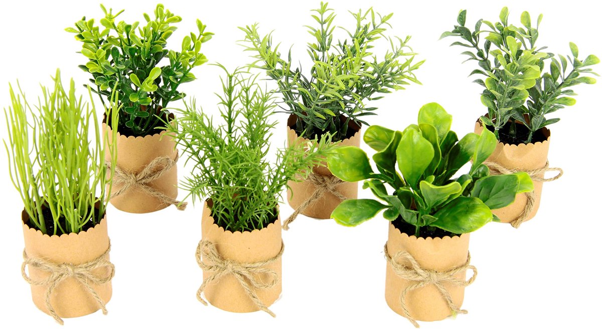 Unyqoos Set van zes kunstmatige kruidenplanten in decoratieve potjes voor huisdecoratie, groente, 12cm, stuks 6 green