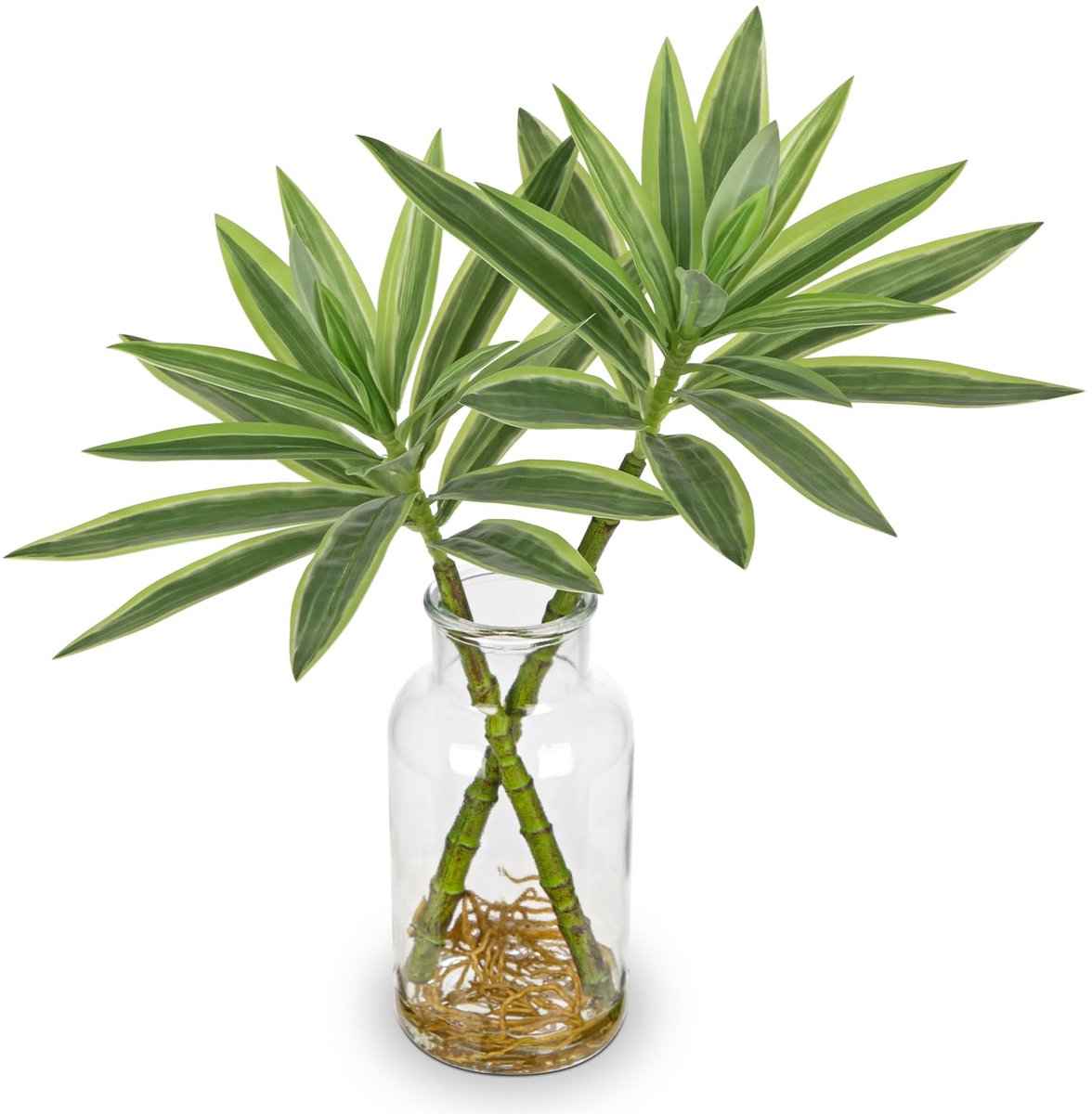 Unyqoos® Levensechte Dracaena Kamerplant in Stijlvolle Glasvaas voor Interieurdecoratie, g