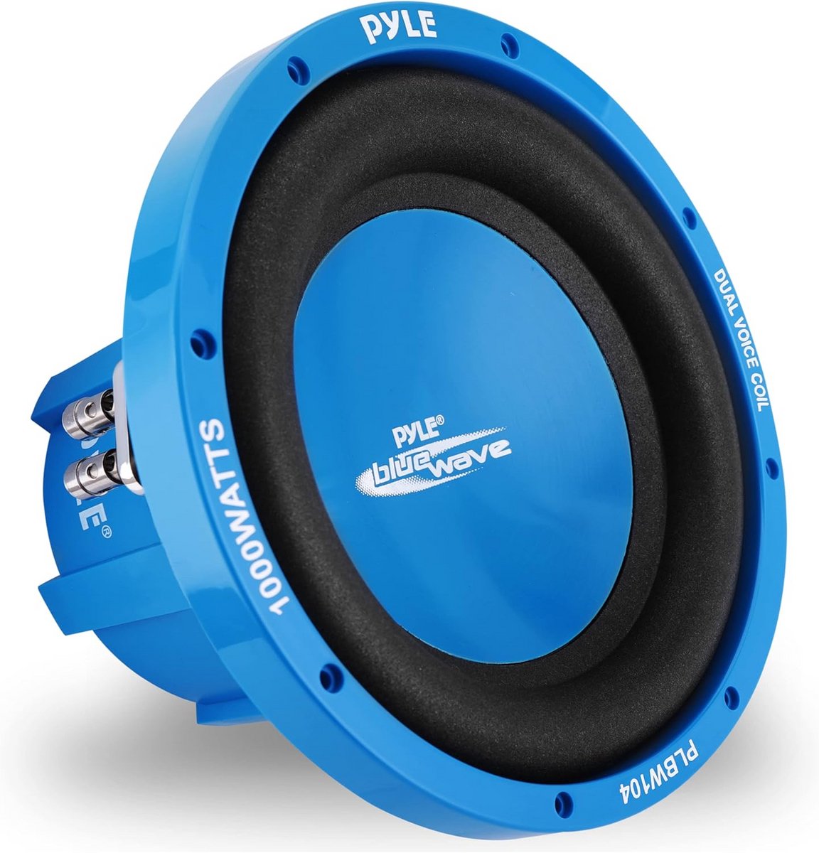 Krachtige 25 cm (10 inch) Subwoofer 1000W voor Auto en Huis