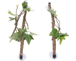 Reptile Corner Branch - Klimgedeelte - Terrarium Plant Decoratie - Ornament met Zuignap voor Slang - Hagedis - Baardagaam - Gecko Klimmen
