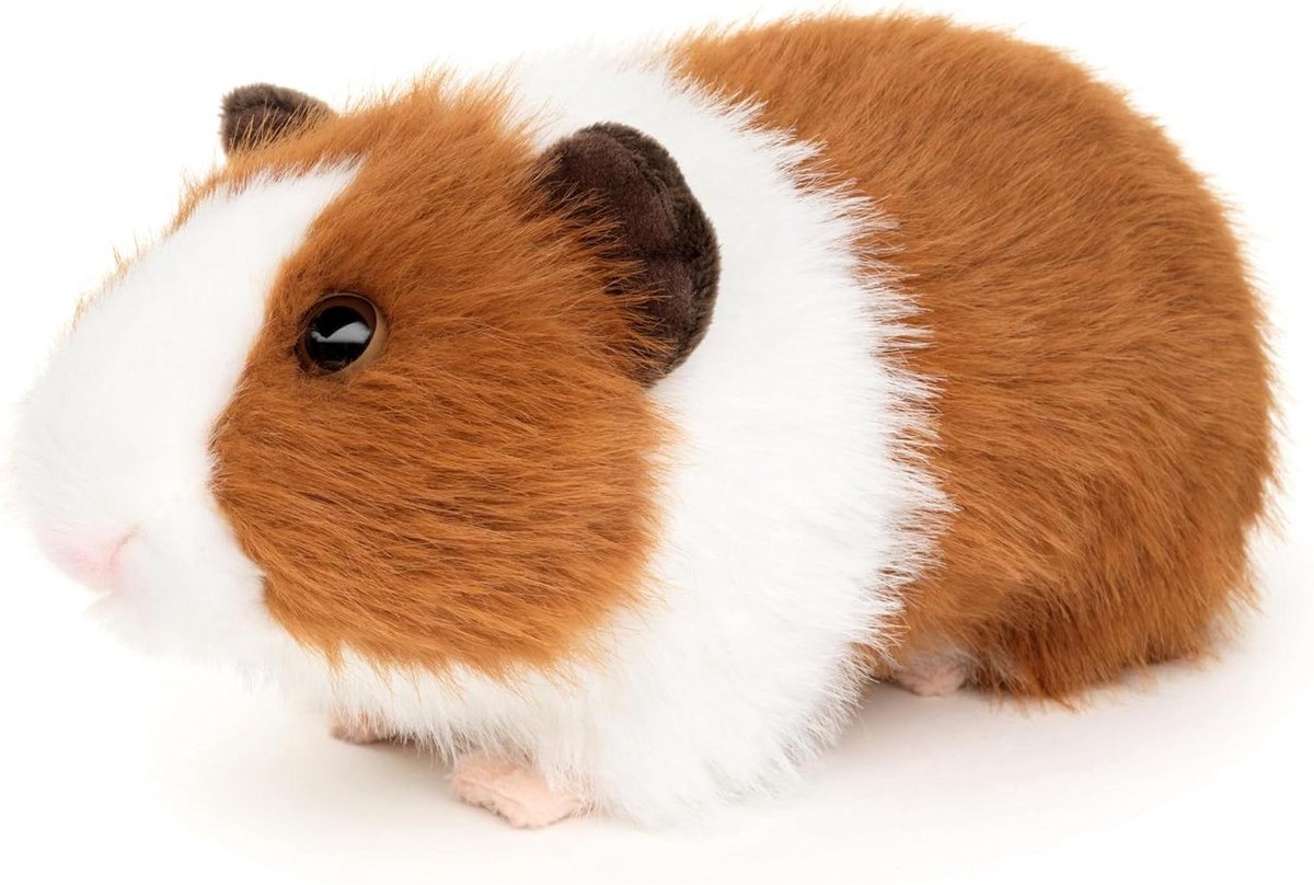 Provento - Pluche Knuffeldier Cavia Bruin-Wit 21 cm lengte Geschikt voor Kinderen