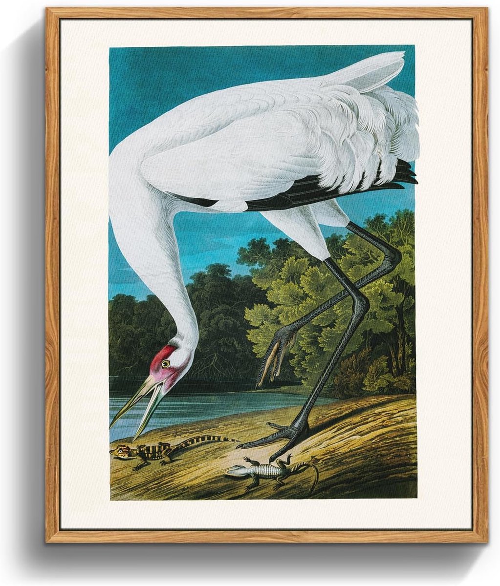 Stunq® Vintage Canvas Schilderij met Houten Lijst en Dieren Illustratie voor Huisdecoratie