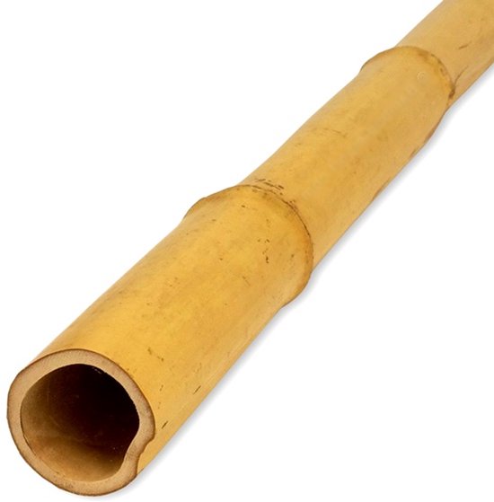 Poteau en bambou Moso 8-9 300